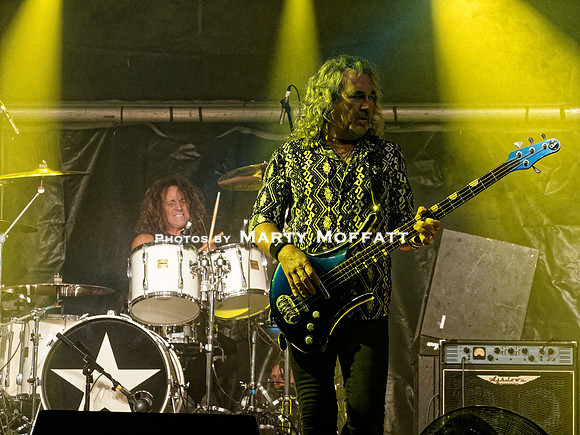 catsinspace2021stonedead14