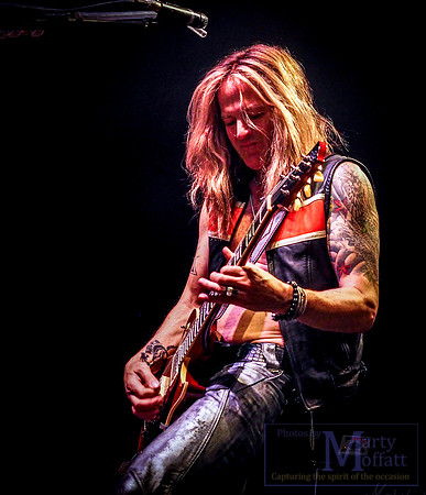 Day 118 - Dead Daisies