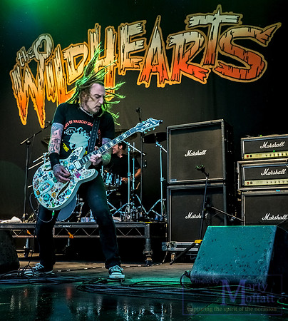 Day 200 - The Wildhearts