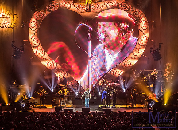 zucchero2016rah_small055