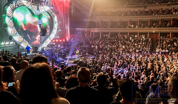 zucchero2016rah_small129