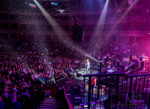 zucchero2016rah_small072