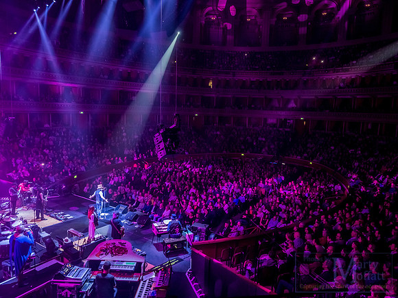 zucchero2016rah_small077