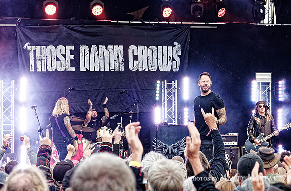 Those Damn Crows (2021)