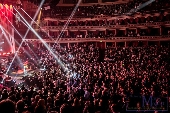 zucchero2016rah_small131