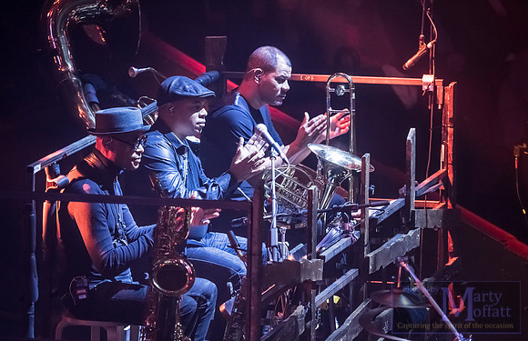 zucchero2016rah_small086