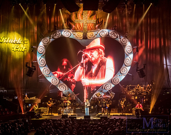 zucchero2016rah_small061