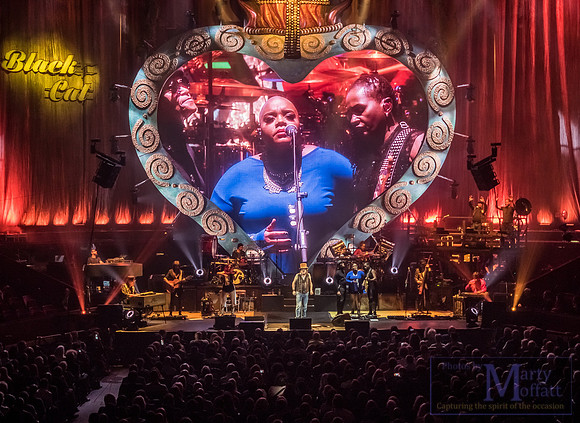 zucchero2016rah_small063