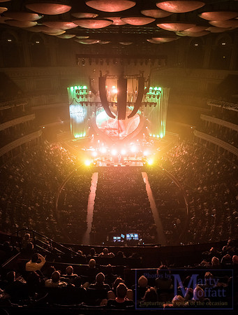 zucchero2016rah_small095