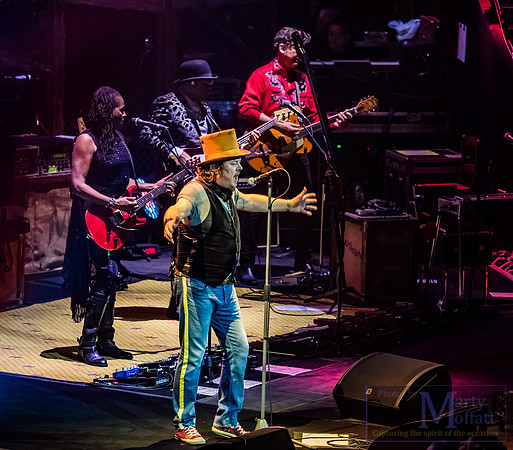 zucchero2016rah_small123