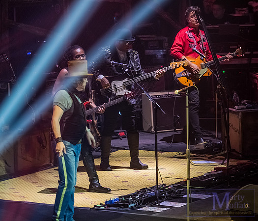 zucchero2016rah_small121