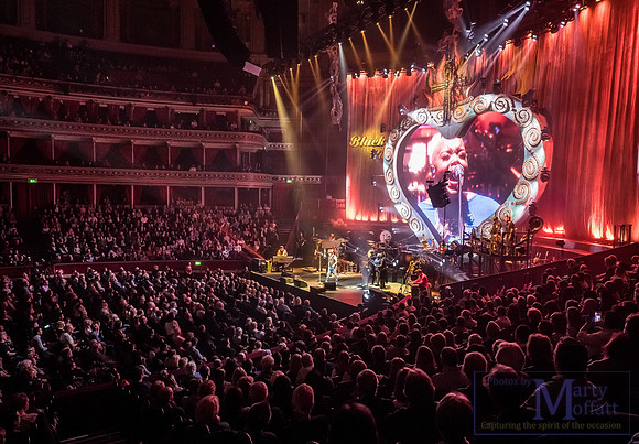 zucchero2016rah_small066