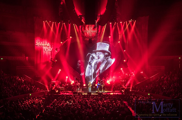 zucchero2016rah_small057
