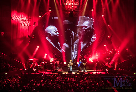 zucchero2016rah_small059