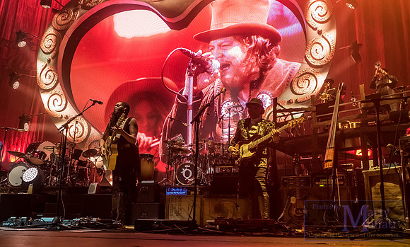 zucchero2016rah_small033